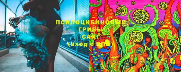 винт Алзамай