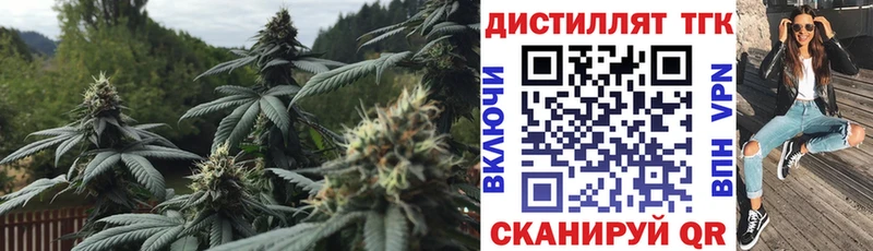 как найти закладки  Сенгилей  МЕГА онион  Дистиллят ТГК жижа 