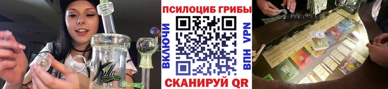 Псилоцибиновые грибы Psilocybe Сенгилей